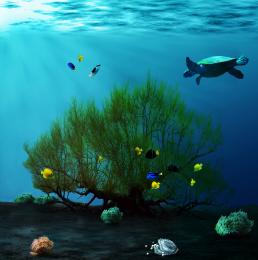UnderwaterLife